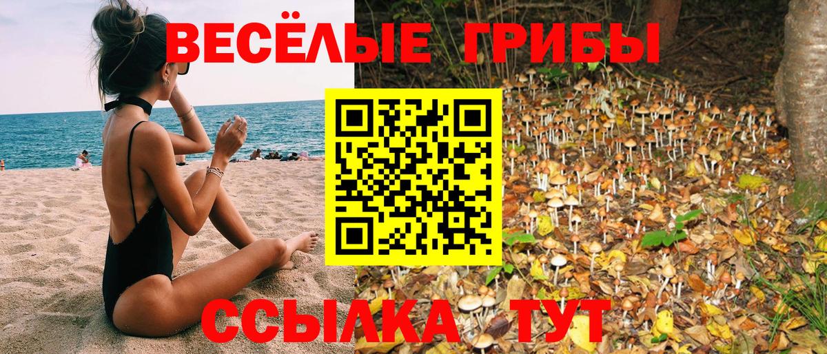 Галлюциногенные грибы мицелий  Вход с VPN  Псилоцибиновые грибы мухоморы  Барабинск 